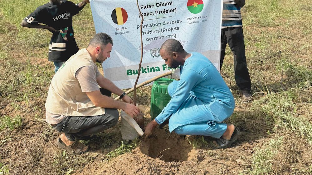 ihh-belgium-fidan-dikimi.jpg